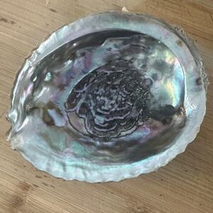 Iridescent Abalone Shell Art Piece